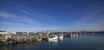 Sung Cove - Eden - NSW T (PBH4 00 8556)